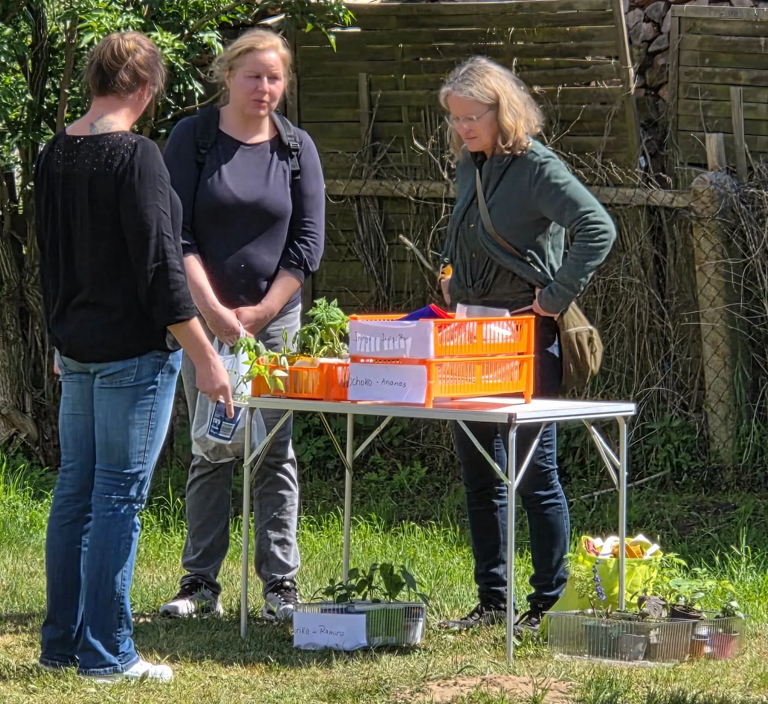 Galeriebild 18