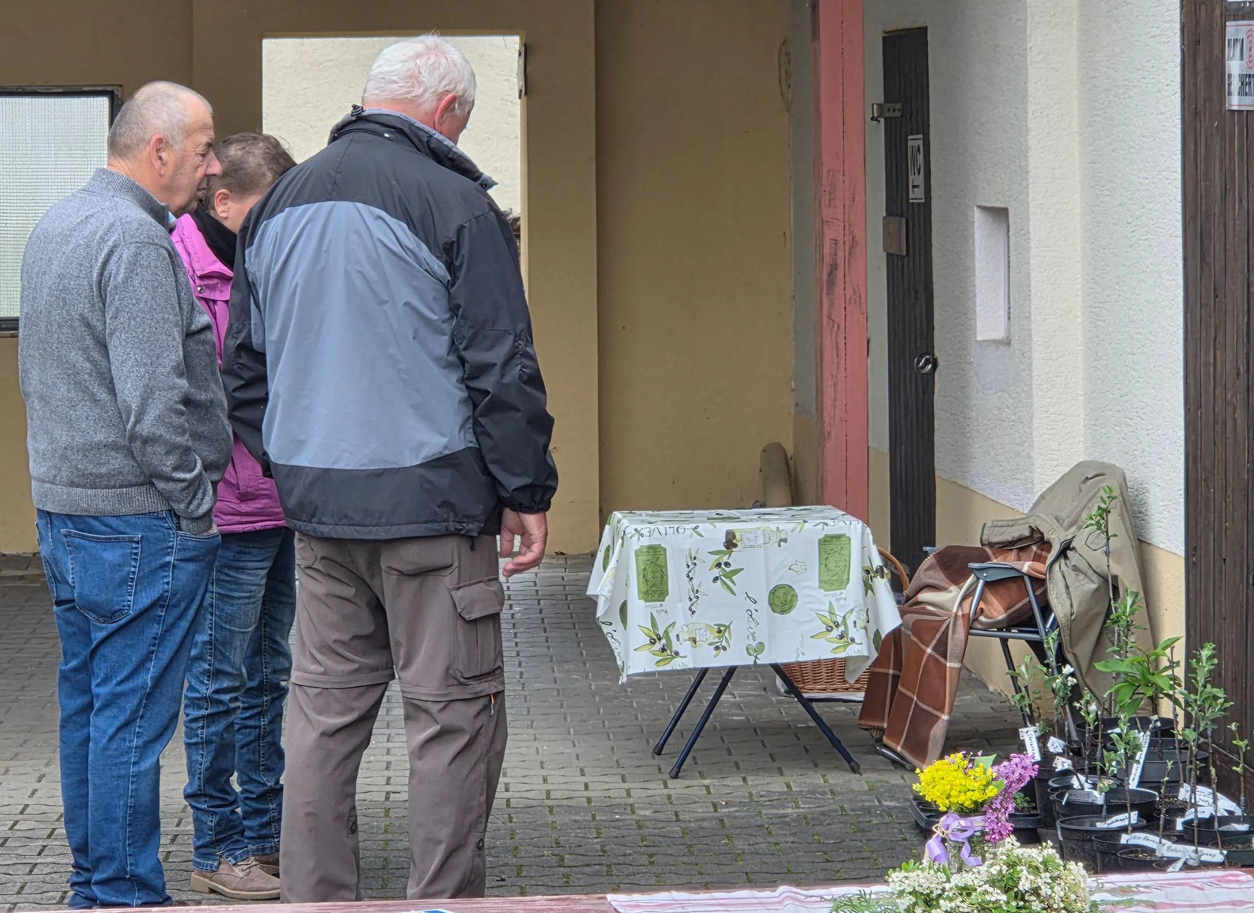 Galeriebild 6