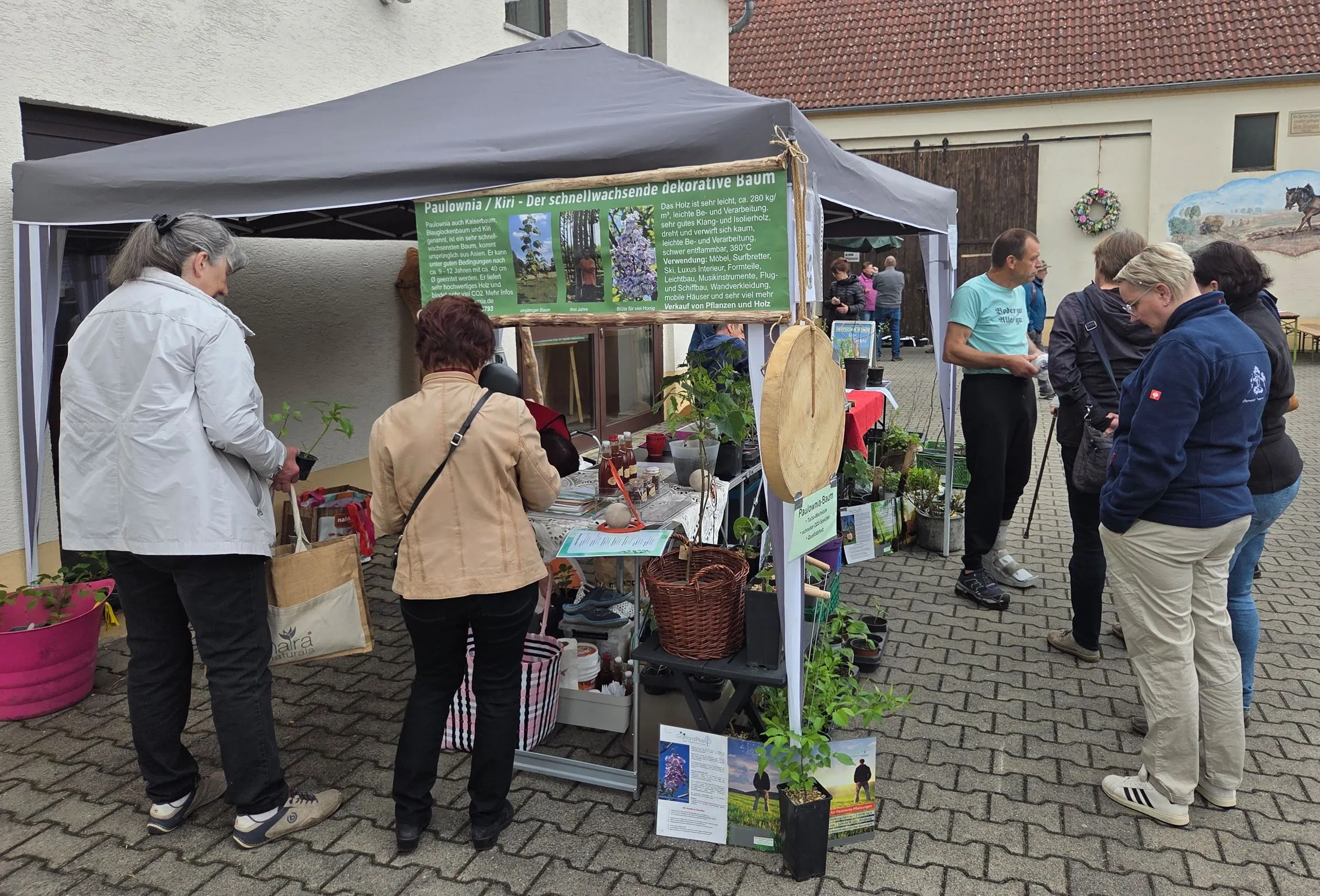 Galeriebild 7
